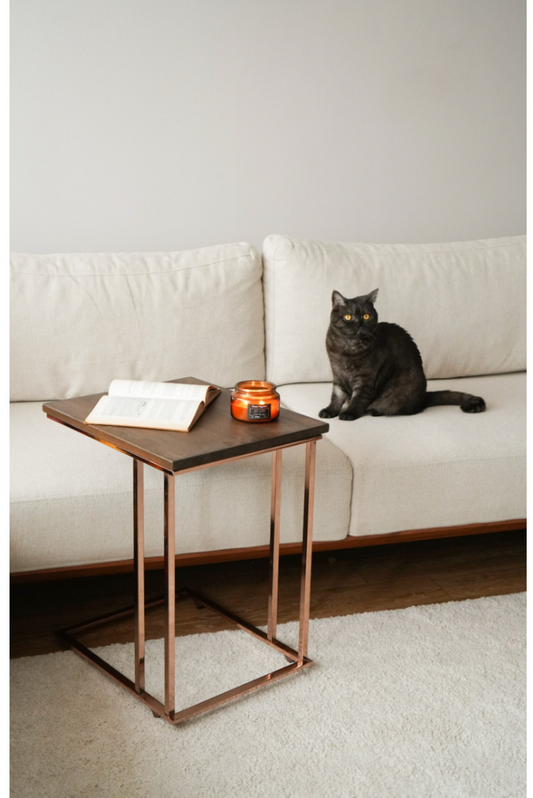 C Coffee Table Bronze